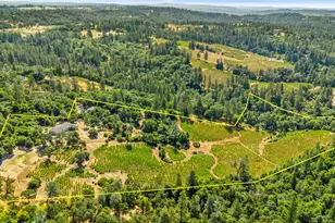 9425 Mosquito Rd, Placerville, CA 95667 - Photo 3