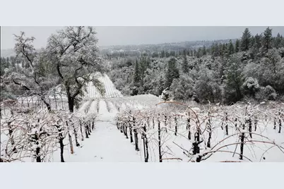 9425 Mosquito Road, Placerville, CA 95667 - Photo 63