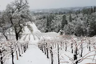 9425 Mosquito Rd, Placerville, CA 95667 - Photo 63