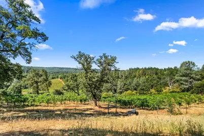 9425 Mosquito Road, Placerville, CA 95667 - Photo 47