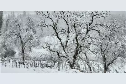 9425 Mosquito Road, Placerville, CA 95667 - Photo 15