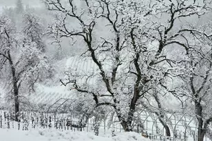 9425 Mosquito Rd, Placerville, CA 95667 - Photo 15