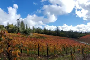 9425 Mosquito Rd, Placerville, CA 95667 - Photo 9