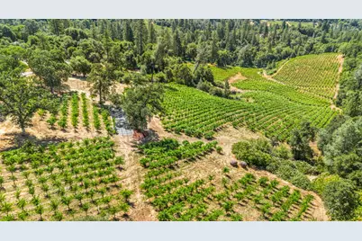 9425 Mosquito Road, Placerville, CA 95667 - Photo 21