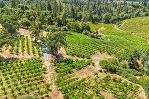 9425 Mosquito Rd, Placerville, CA 95667 - Photo 21