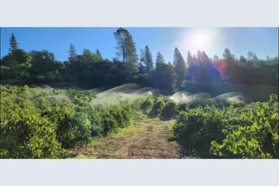 9425 Mosquito Road, Placerville, CA 95667 - Photo 73