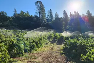 9425 Mosquito Rd, Placerville, CA 95667 - Photo 73