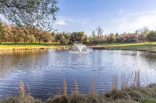 3835 Deer Ridge Ln, Auburn, CA 95602 - Photo 75