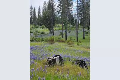 19736 Jesus Maria, Mokelumne Hill, CA 95245 - Photo 83
