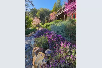 19736 Jesus Maria, Mokelumne Hill, CA 95245 - Photo 83