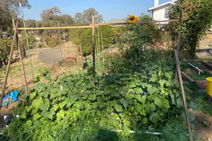 22801 Hidden Ranch Rd, Auburn, CA 95602 - Photo 79