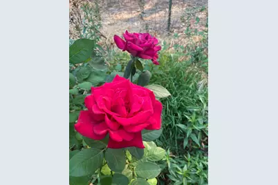 22801 Hidden Ranch Road, Auburn, CA 95602 - Photo 81