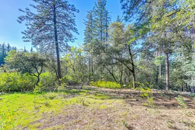 210 Meadow Gate Road, Meadow Vista, CA 95722 - Photo 37