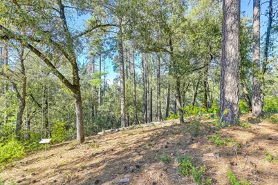 210 Meadow Gate Road, Meadow Vista, CA 95722 - Photo 47