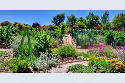 8008 Fallview Way, El Dorado Hills, CA 95762 - Photo 67