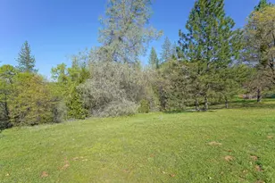 6261 Grizzly Flat Rd, Somerset, CA 95684 - Photo 57