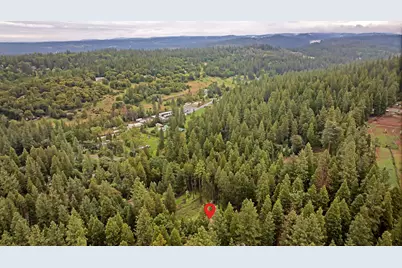 14882 Old Emigrant Road, Pioneer, CA 95666 - Photo 53