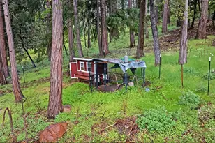 14882 Old Emigrant Rd, Pioneer, CA 95666 - Photo 39