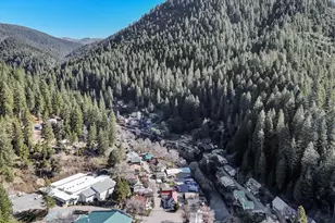 402 Main St, Downieville, CA 95936 - Photo 59