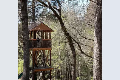 717 Swanson Lane, Colfax, CA 95713 - Photo 43