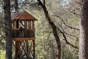 717 Swanson Ln, Colfax, CA 95713 - Photo 43