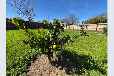 9328 Aizenberg Circle, Elk Grove, CA 95624 - Photo 23