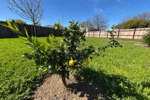 9328 Aizenberg Cir, Elk Grove, CA 95624 - Photo 23