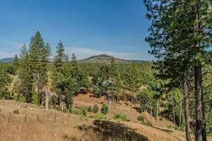 8133 West Old Emigrant Trail, Mountain Ranch, CA 95246 - Photo 19