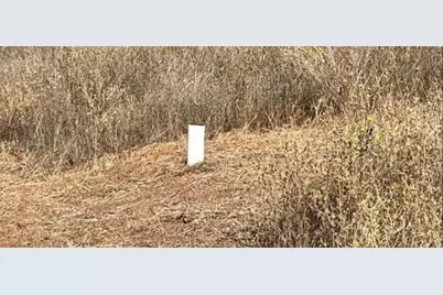 8133 West Old Emigrant Trail, Mountain Ranch, CA 95246 - Photo 21