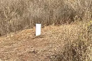 8133 West Old Emigrant Trail, Mountain Ranch, CA 95246 - Photo 21