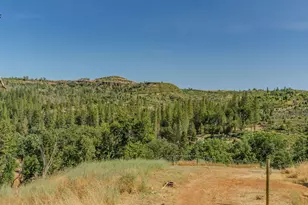 8133 West Old Emigrant Trail, Mountain Ranch, CA 95246 - Photo 13