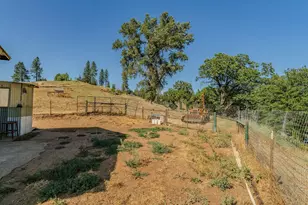 8133 West Old Emigrant Trail, Mountain Ranch, CA 95246 - Photo 31