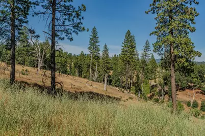 8133 West Old Emigrant Trail, Mountain Ranch, CA 95246 - Photo 11