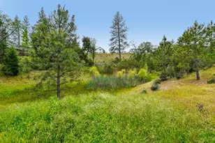 1017 Utah Dr, Placerville, CA 95667 - Photo 9