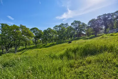 9564 Coronado Drive, La Grange, CA 95329 - Photo 65