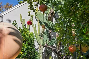 2214 U St, Sacramento, CA 95818 - Photo 49