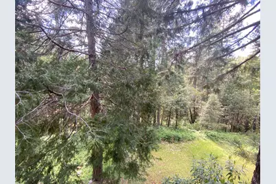 6950 Fools Canyon Road, Georgetown, CA 95634 - Photo 7