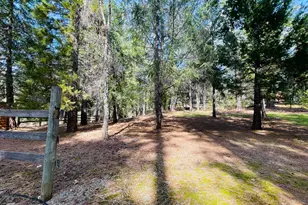 6950 Fools Canyon Rd, Georgetown, CA 95634 - Photo 3