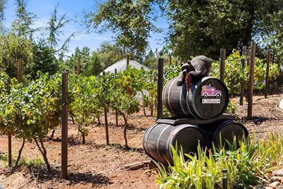 16354 Alexandra Way, Grass Valley, CA 95949 - Photo 5