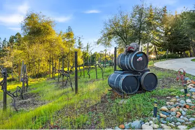 16354 Alexandra Way, Grass Valley, CA 95949 - Photo 29