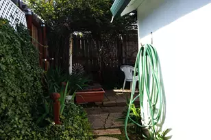 245 Walnut St, Jackson, CA 95642 - Photo 43