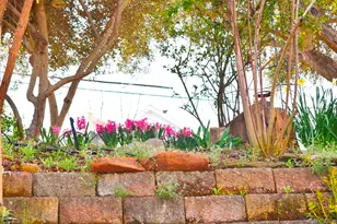 126 Center St, Jackson, CA 95642 - Photo 83