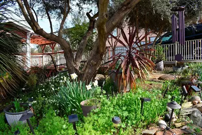 126 Center Street, Jackson, CA 95642 - Photo 83