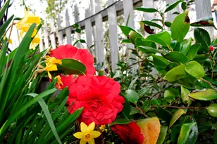 126 Center St, Jackson, CA 95642 - Photo 87