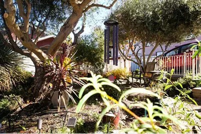 126 Center Street, Jackson, CA 95642 - Photo 87