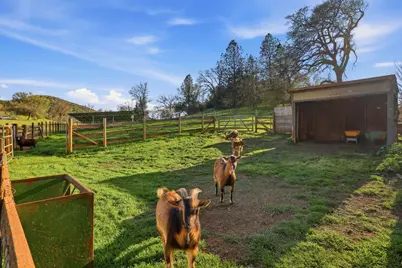 1600 Hidden Circle, Shingle Springs, CA 95682 - Photo 59