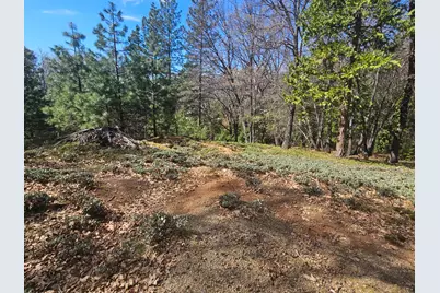 23470 Pack Trail, Sonora, CA 95370 - Photo 13