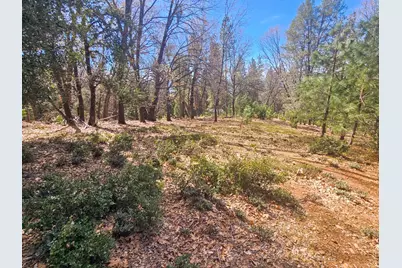 23470 Pack Trail, Sonora, CA 95370 - Photo 3