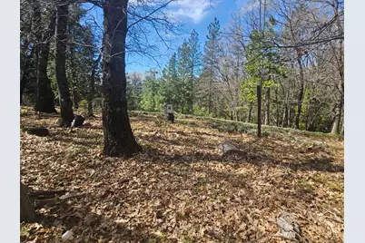 23470 Pack Trail, Sonora, CA 95370 - Photo 1