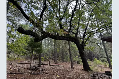 0 Pine Ridge Drive, Brownsville, CA 95919 - Photo 3